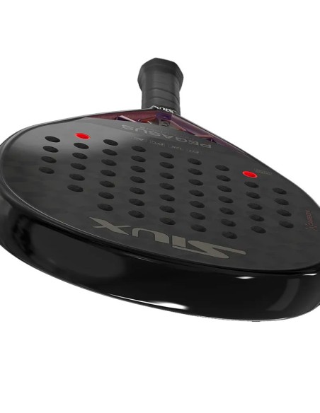 Siux Pegasus Revolution 2 2024