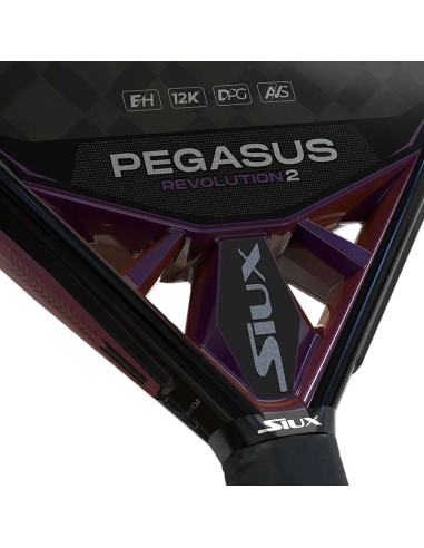 Siux Pegasus Revolution 2 2024