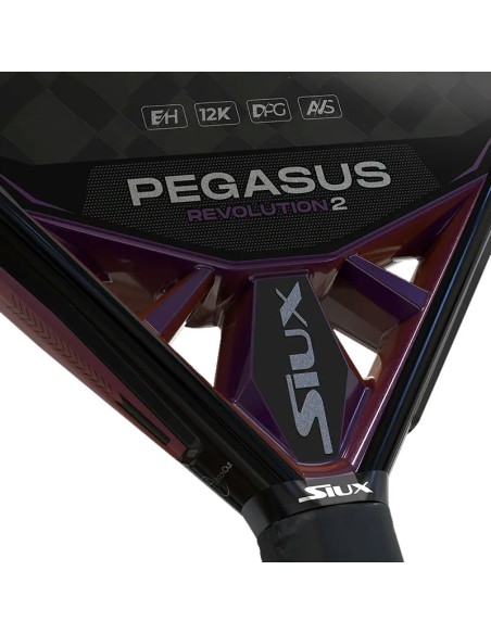 Siux Pegasus Revolution 2 2024