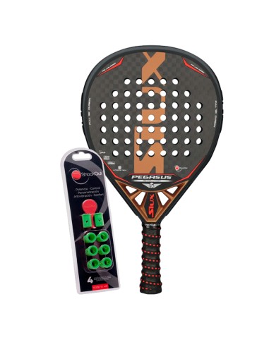 Pack de padel Siux Pegasus 12K + ShockOut